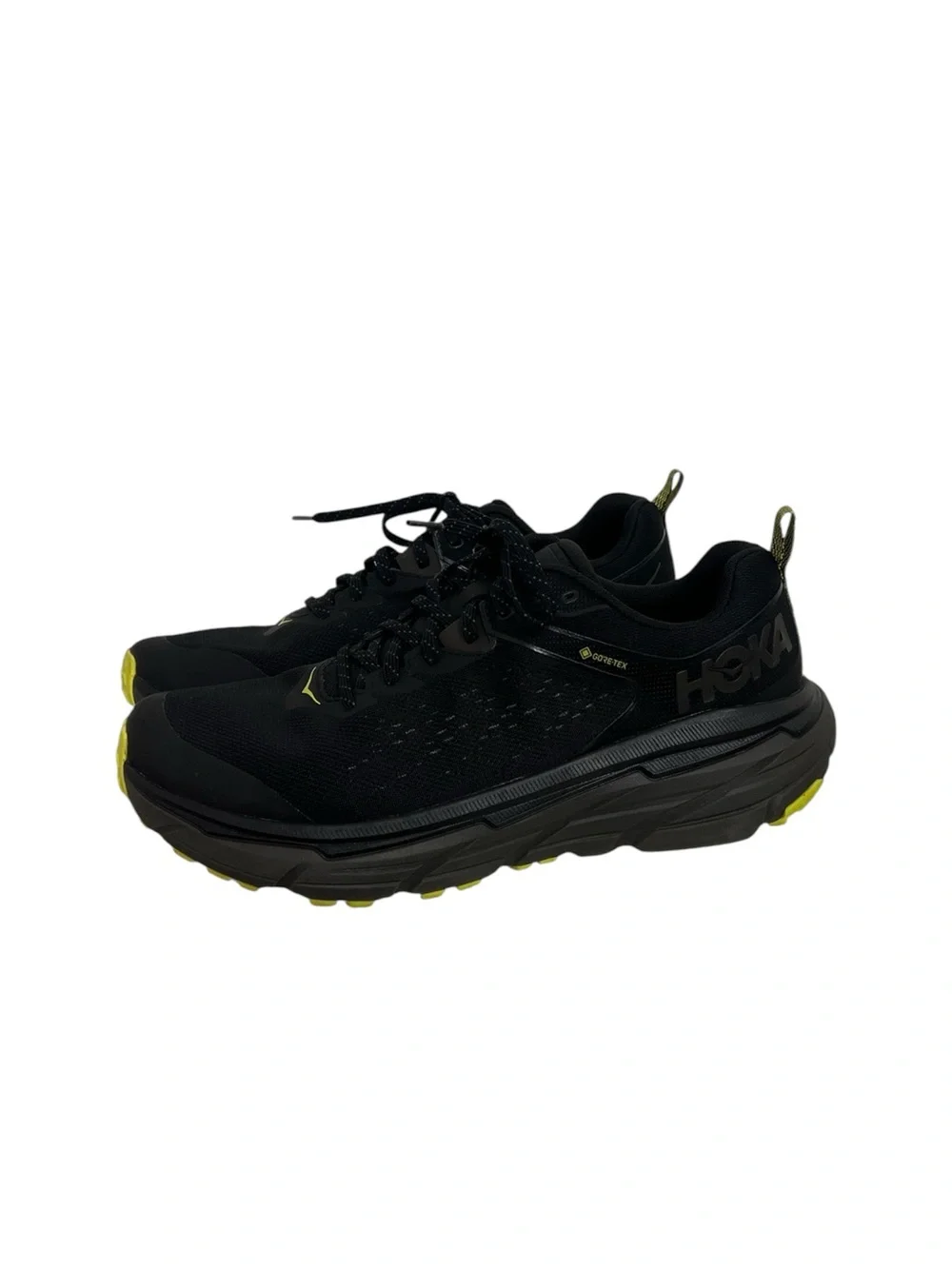Men’s Hoka Challenger ATR 6 GTX Shoes